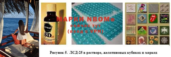 2c-b Инта