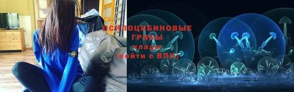 ALPHA PVP Иннополис