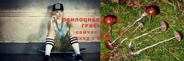 mix Инсар