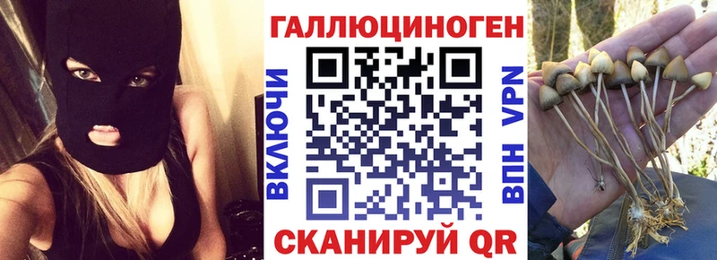 Купить закладки  Волгореченск  Псилоцибиновые грибы мухоморы 